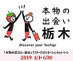 /www.tochigiji.or.jp/dc/img/hontochi-300x250.png