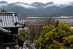 020215chikusagawa-5.jpg