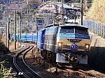 2レ　富士はやぶさ　EF6646　根府川～早川　2009.02.22