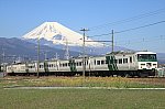 4025M　踊り子105号　185系C3　三島二日町～大場　2020.03.06