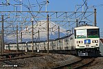 3730M　湘南ライナー10号　185系　平塚～茅ヶ崎　2020.03.06