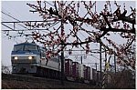 ld 20 3 8 h urawa ef66 114 2060 a1001