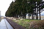 2020_03_16uzennarita.jpg