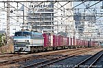 EF66111 202003