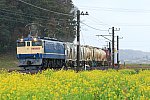 900-EF65-200314A0.jpg