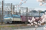 EF66105 202003