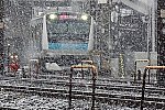 0329春雪(8)