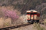 020321tsuyama-1.jpg