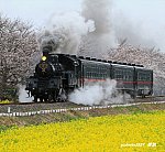 6001レ　北真岡～西田井　2013.03.30