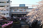 2020_04_07nakameguro.jpg