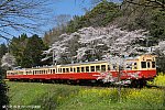 ★小湊鉄道　上総大久保(3)