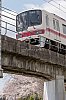 020405minogawa-5.jpg