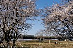 /stat.ameba.jp/user_images/20200423/22/train-buhibuhi/3f/5c/j/o1280085314748042676.jpg