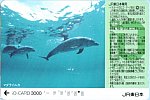 IOC_水族館