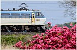 ld 20 4 26 h urawa a1 ef66 120 73 a1001