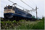 ld 20 5 4 h urawa k1 ef65 2097 8877 a1001