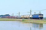 900-EF65-200429B1.jpg