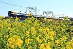 2020年3月20日　4005M　しおさい5号