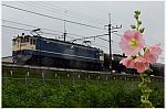 ab 20 6 13 m koshigaya d1 ef65 2070 8179 a1001