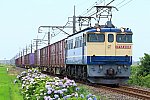 900-EF65-200616B1.jpg