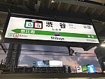 埼京線渋谷駅新ホームの駅名標と、後ろに見えるスクランブル交差点沿いの大画面や建物(2020/6/20)