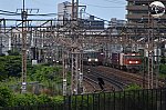 f:id:hato_express:20200706215258j:plain