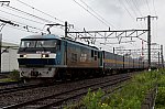 DPP3048