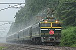 8002レ　EF81113　越後岩塚～塚山　2013.07.13