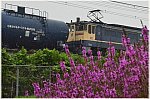 ld 20 7 25 h urawa aa1 ef65 2065 8178 a1001