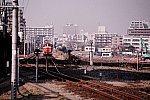 2020_08_19onagigawa.jpg