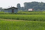 200801houjou-1.jpg