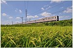 ld 20 8 29 h urawa b1 205 b1001