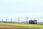 900-EF64-200831A0.jpg