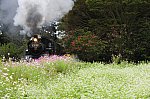 /stat.ameba.jp/user_images/20200928/19/masaki-railwaypictures/55/0d/j/o1277085014826684877.jpg