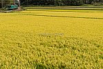 200912kakogawa-3.jpg