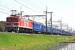 2レ　北斗星　EF8195　蓮田～東大宮　2010.04.24