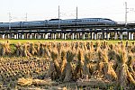 201006kanagasaki_sinkansen-1.jpg