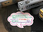 /stat.ameba.jp/user_images/20201109/06/keikyu77716/1c/36/j/o1080081014848226132.jpg