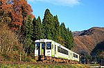 2226D　キハ110-211　五十島～三川　2020.11.22