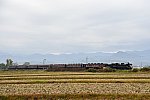 20201107_DSC_0273_00001.jpg