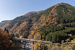 201115takayama-1-2-720_5768.jpg