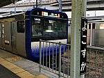横須賀駅2番線に停車中のE235系普通上総一ノ宮行き(2021/1/2)