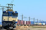 900-EF64-210114B1.jpg