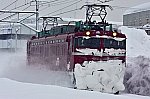 上越カッター 確認列車 EF81 134 2021.1.20 0901c