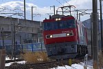 20170128_DSC_9811.jpg