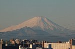 91_fuji