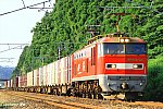 3098レ　EF510-22　越後岩塚～塚山　2013.06.29