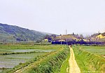 蒸気機関車　奥羽本線　C61