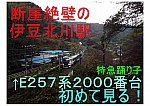 /stat.ameba.jp/user_images/20210131/19/kh8000-blog/c5/dc/j/o1024072414889508148.jpg
