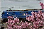 ld 21 3 20 h urawa k1 ef210 116 8681 a1001